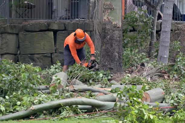 Best Commercial Tree Services  in Winter Park, FL